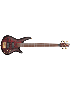 IBANEZ SR305EDX-WZM