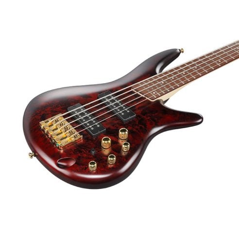 IBANEZ SR305EDX-WZM
