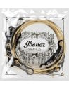 IBANEZ IACS12C 12 STRINGS 10-47 BRONZE 80/20