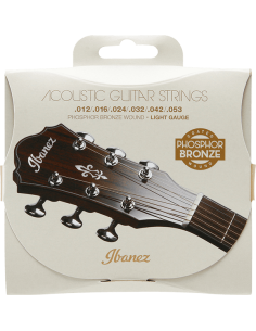 IBANEZ IACSP6C  12-53 PHOSPHOR BRONZE COATED