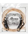 IBANEZ IACSP6C  12-53 PHOSPHOR BRONZE COATED