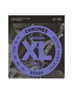 D'ADDARIO ECG24