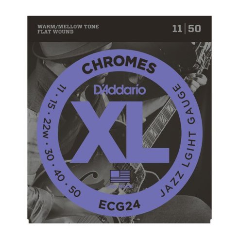 D'ADDARIO ECG24