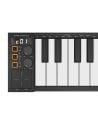 BLACKSTAR CARRY ON MIDI CONTROLLER 49