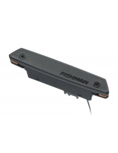 Fishman Rare Earth Soundhole Single Coil Pickup