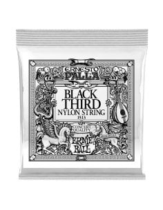 Ernie Ball 1513 Ernesto Palla Black 3ª .040