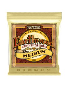 Ernie Ball 2002 Earthwood 80/20 Bronze Medium 13-56
