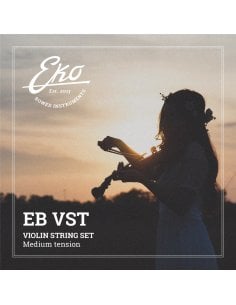 EKO Bowed instruments EB VST