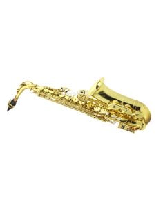 Alysée A-808L - laccato