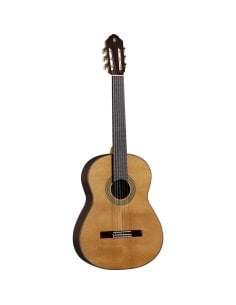 Eko Guitars Vibra 500 Mario Gangi