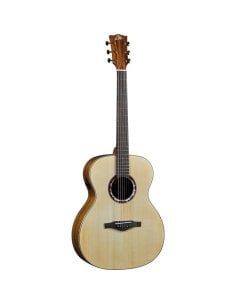 Eko Guitars Alps J450E