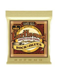 Ernie Ball 3008 Erthwd RandB wPlain G 8020 10 52