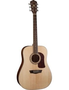 WASHBURN D10 S