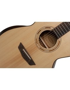WASHBURN G10 SE