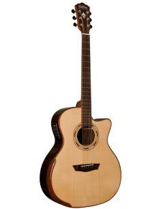 WASHBURN G25 SCE