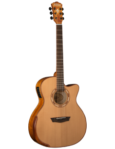 WASHBURN G66 CE