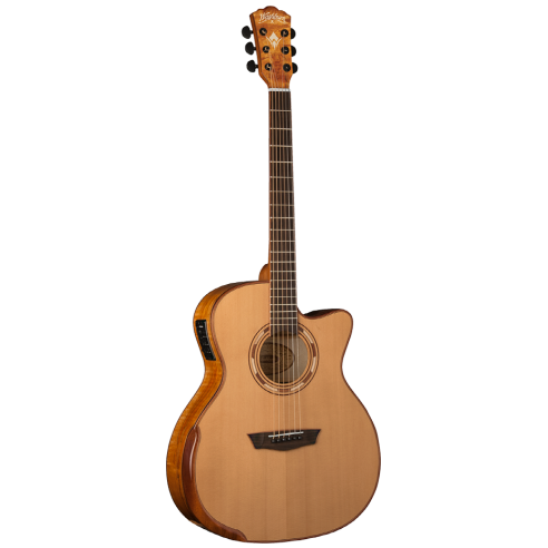 WASHBURN G66 CE