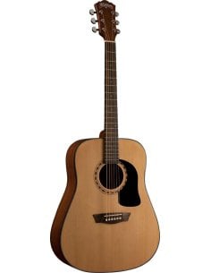 WASHBURN AD5