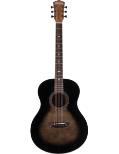 WASHBURN NOVO S9