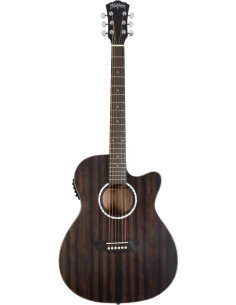 WASHBURN EBONY ACE