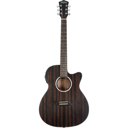 WASHBURN EBONY ACE