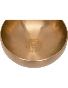 SONIC ENERGY SB-S-FOL-1000 2
