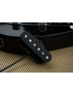 SEYMOUR DUNCAN BILLY GIBBONS GILLY