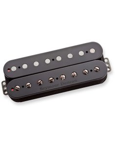 SEYMOUR DUNCAN 8STR PEGASUS BRG PMT BLK