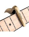 ORTEGA BGCAPO