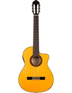 ORTEGA RCE270FT 2
