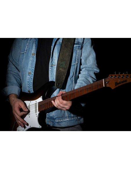 ORTEGA OSAR-4 ORTEGA OSAR-4