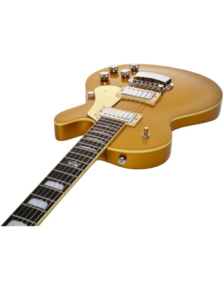 HAGSTROM SWEDE GOLD 2023 HAGSTROM SWEDE GOLD 2023