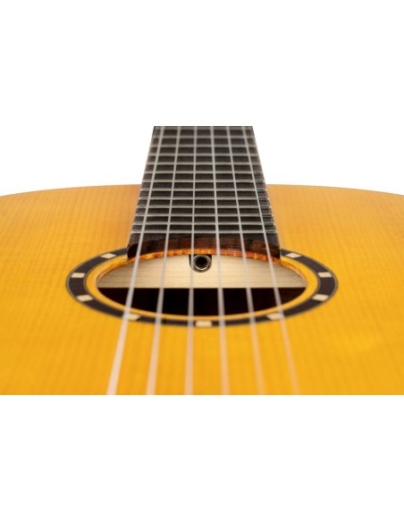 ORTEGA R170F ORTEGA R170F