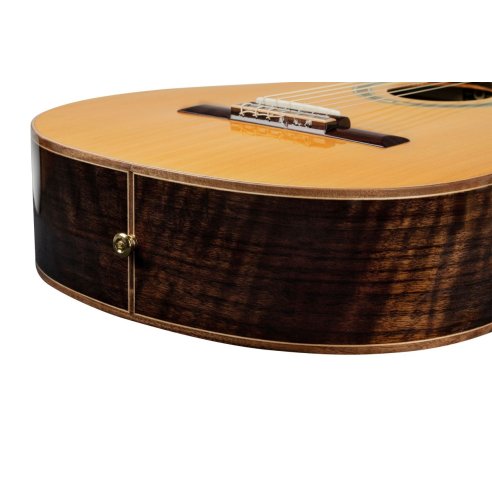 ORTEGA R159