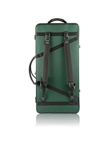 BAM ITALIA 2006SF CUSTODIA CLASSIC PER VIOLA (41,5 CM) + VIOLINO - GREEN