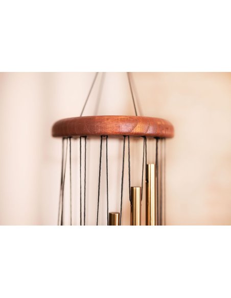 SONIC ENERGY SC29B SONIC ENERGY SC29B