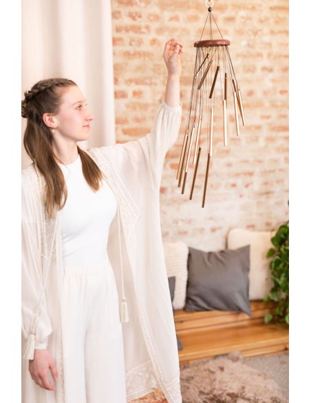 SONIC ENERGY SC29B SONIC ENERGY SC29B