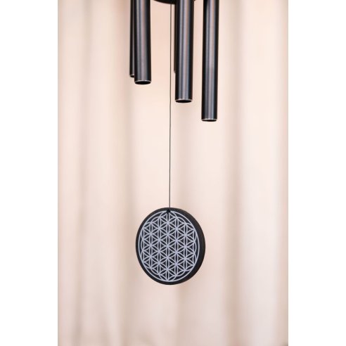 SONIC ENERGY FOLMC36BK