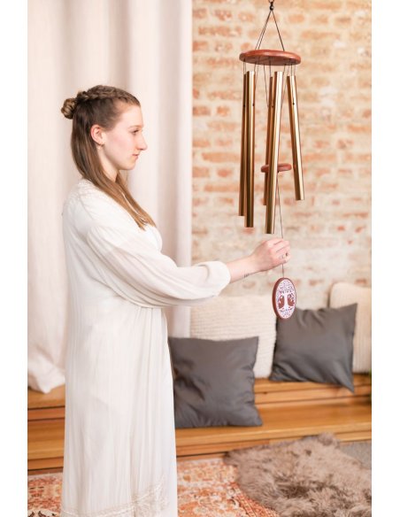 SONIC ENERGY TOLMC36B SONIC ENERGY TOLMC36B