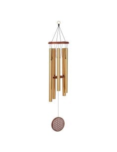 SONIC ENERGY FOLMC36B