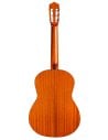 CORDOBA ITALIA C5 CEDRO