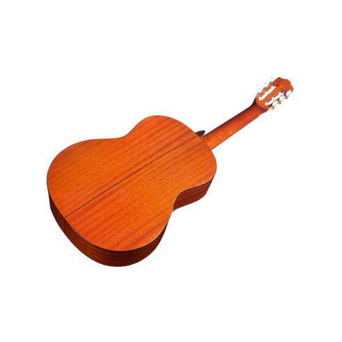 CORDOBA ITALIA C5 CEDRO