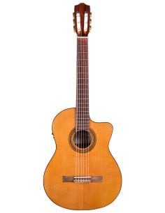 CORDOBA ITALIA C5-CE CEDRO