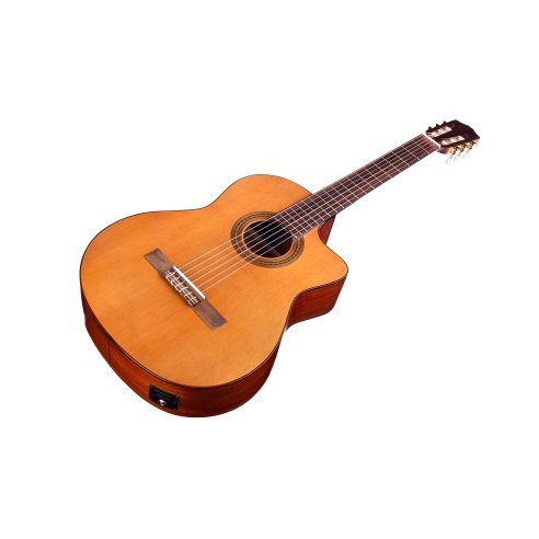 CORDOBA ITALIA C5-CE CEDRO