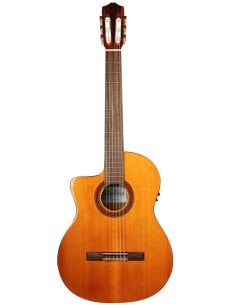 CORDOBA ITALIA C5-CE CEDRO LH