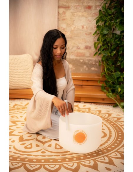 SONIC ENERGY PCSB12SF SONIC ENERGY PCSB12SF