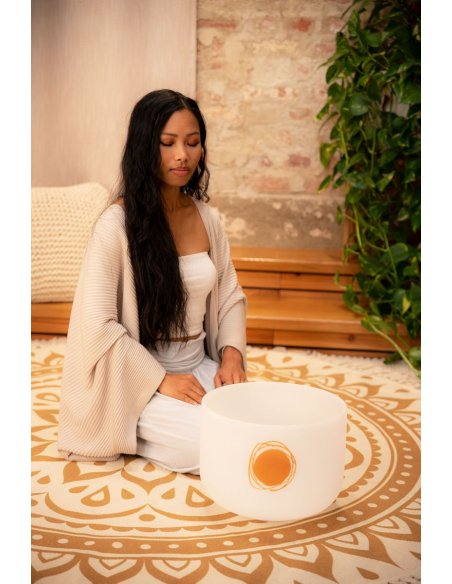 SONIC ENERGY PCSB12SF SONIC ENERGY PCSB12SF