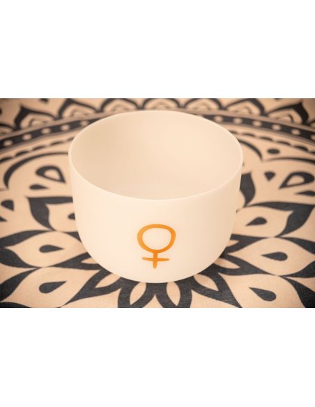 SONIC ENERGY PCSB12V SONIC ENERGY PCSB12V