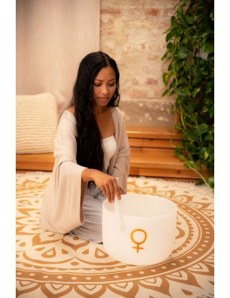 SONIC ENERGY PCSB12V SONIC ENERGY PCSB12V