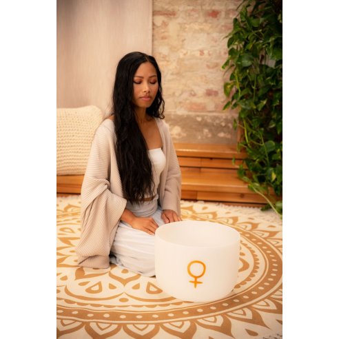 SONIC ENERGY PCSB12V